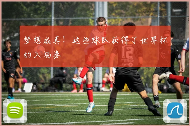 梦想成真！这些球队获得了世界杯的入场券