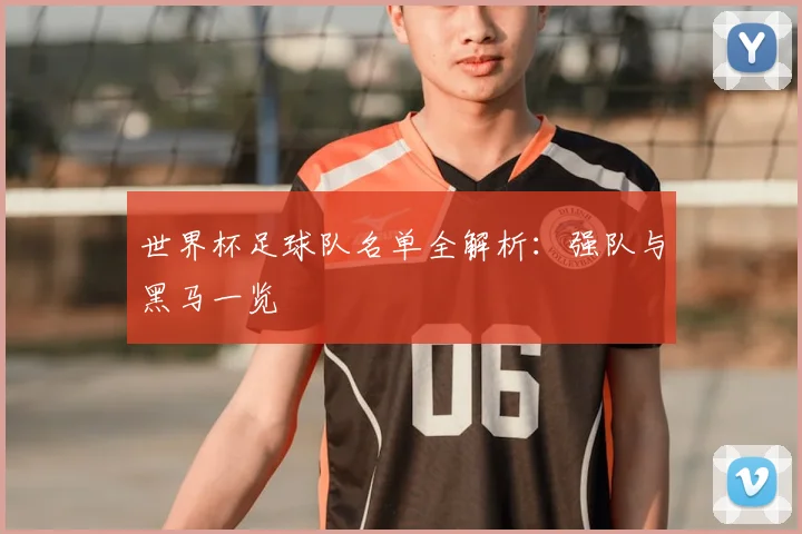世界杯足球队名单全解析:强队与黑马一览