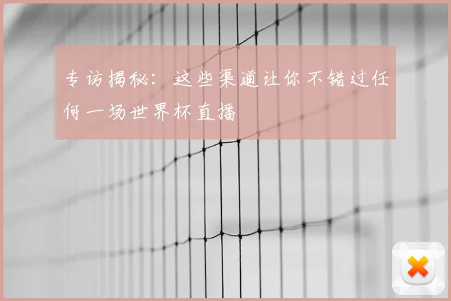 专访揭秘：这些渠道让你不错过任何一场世界杯直播