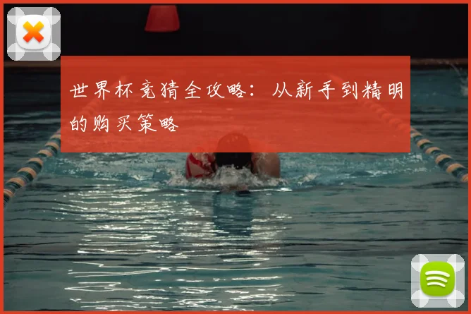 世界杯竞猜全攻略：从新手到精明的购买策略