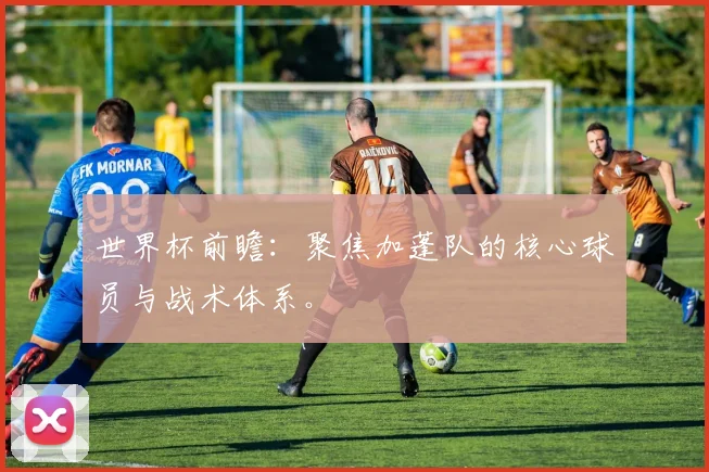 世界杯前瞻:聚焦加蓬队的核心球员与战术体系。
